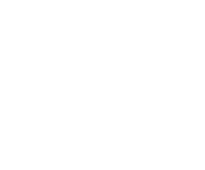 auto-plus-icons